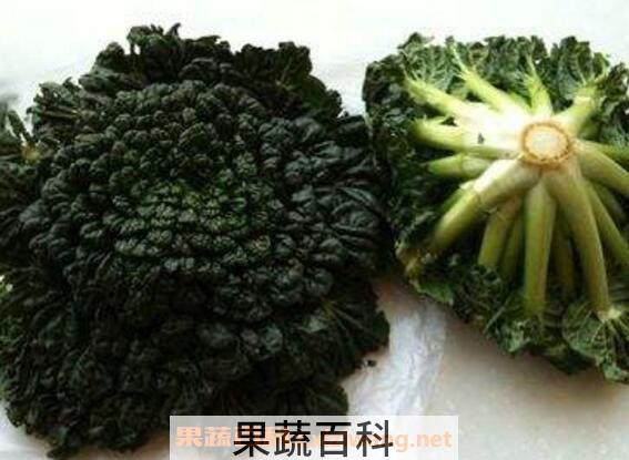 塔菜的功效与作用