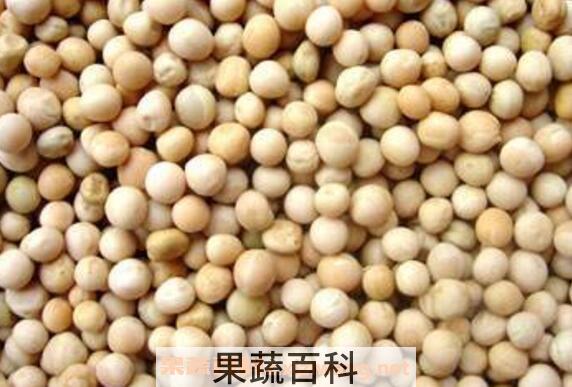 干豌豆如何去皮 干豌豆的功效与作用