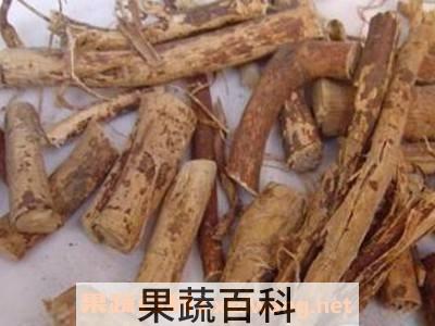枇杷根