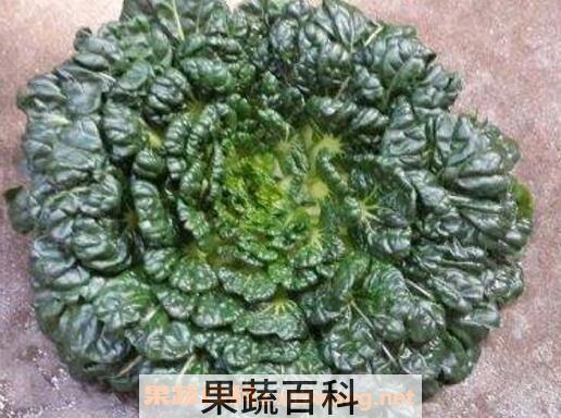 塔菜怎么做好吃 塔菜不能和什么一起吃