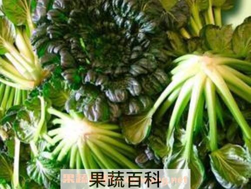 塔菜怎么做好吃 塔菜不能和什么一起吃