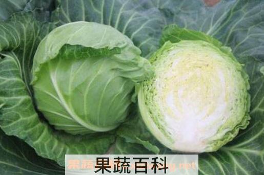 结球甘蓝的营养成分表 结球甘蓝的食用方法