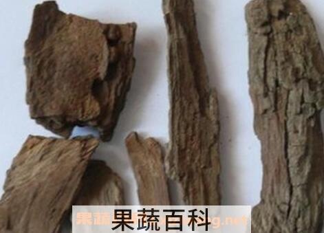 枣树皮的作用与功效