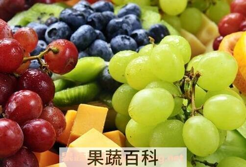 哪些水果能降血脂 常吃5种水果降血脂