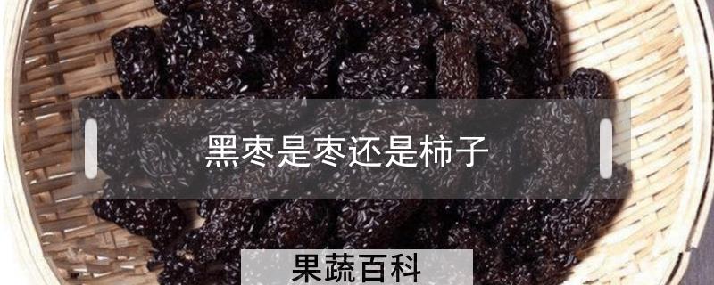 黑枣是枣还是柿子