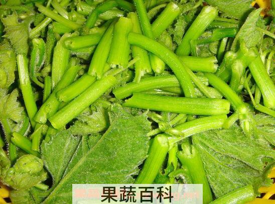南瓜藤怎么去绒毛 