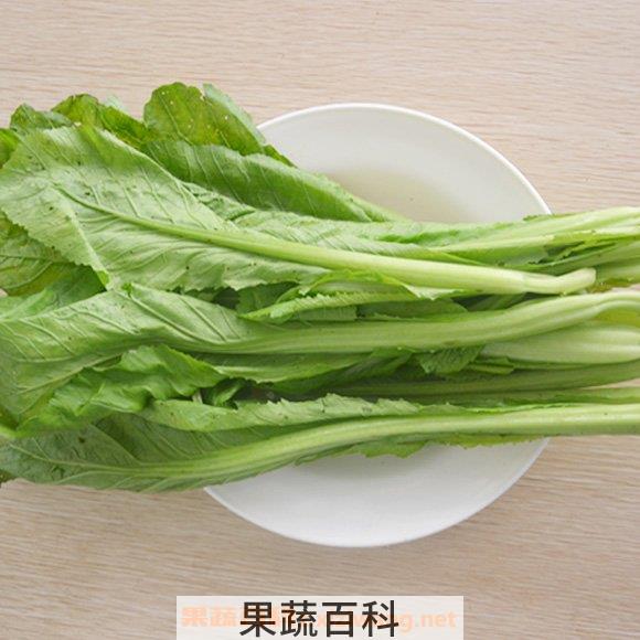 芥菜
