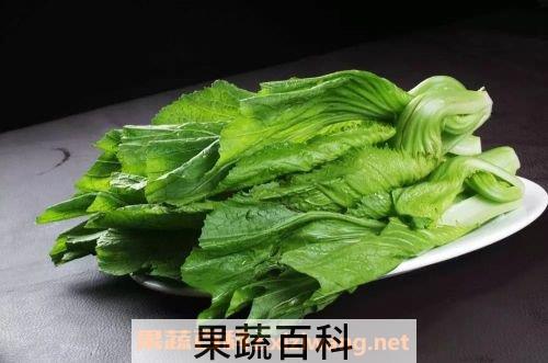 芥菜营养价值