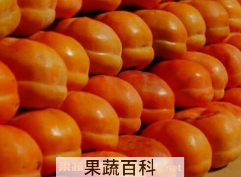 东北柿子的功效与作用