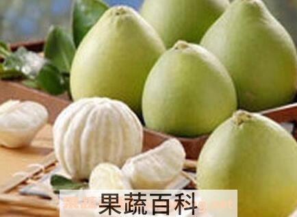 酸柚的功效与作用