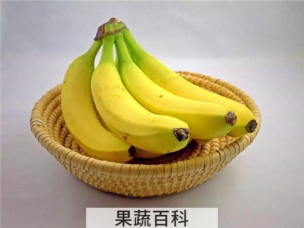 为什么香蕉都是弯的