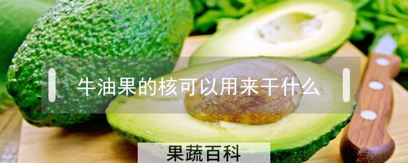 牛油果的核可以用来干什么