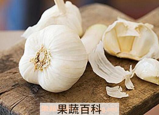 快速剥大量蒜的窍门 人工剥大蒜头最快方法