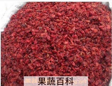 枣子的皮的功效与作用禁忌 枣子的皮的功效与作用及禁忌