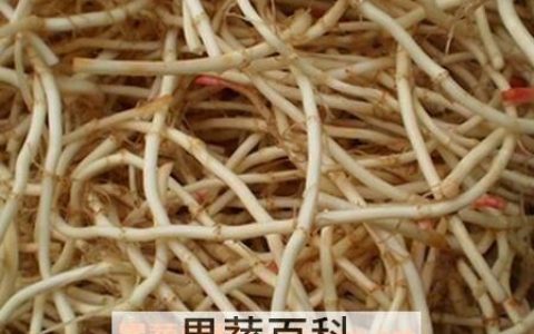 鱼腥草炖梨皮的功效 鱼腥草煮梨皮的功效和作用及禁忌