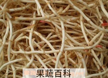 鱼腥草煮梨皮的功效和作用