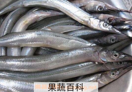 针鱼的功效与作用 针鱼的副作用