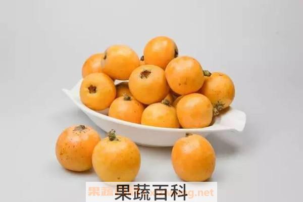 枇杷