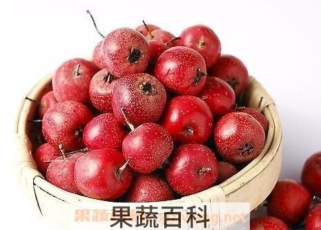 白果山楂的功效