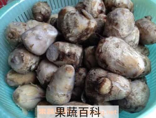 芋头去皮手痒怎么办