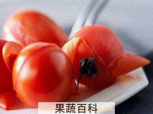 番茄怎么去皮 番茄去皮的方法技巧