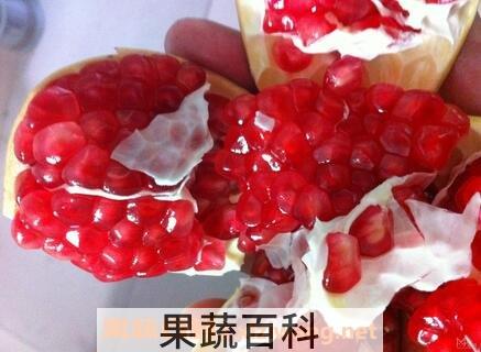 中草药田石榴的功效