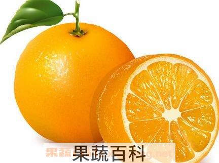 药橙怎么吃效果最好 药橙的吃法技巧