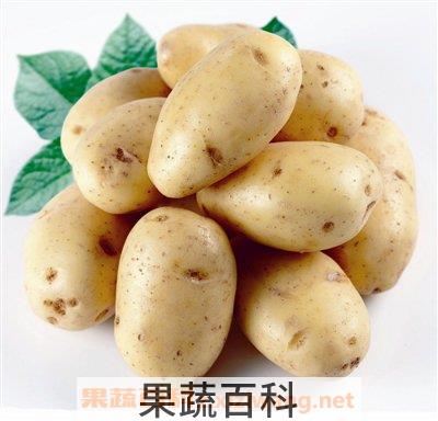 土豆的功效