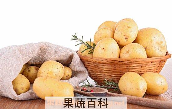 土豆的营养价值