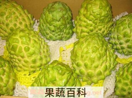 林檎果怎么吃 林檎果的吃法技巧