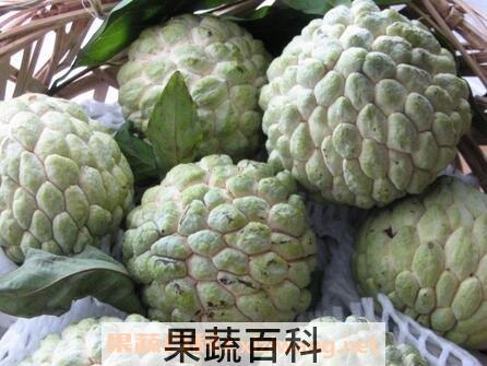 林檎果怎么吃 林檎果的吃法技巧