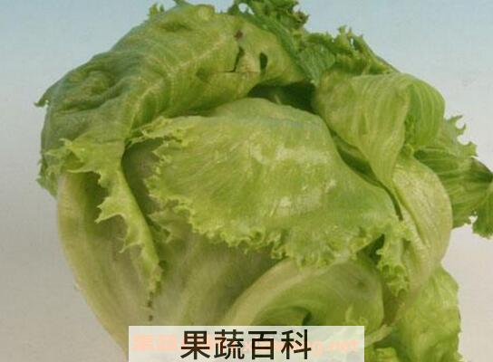 结球莴苣是什么菜 结球莴苣怎么吃