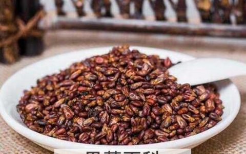 葡萄籽的作用与功效果 葡萄籽的功效与作用是什么