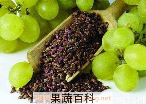 葡萄的功效与作用 葡萄的药用价值
