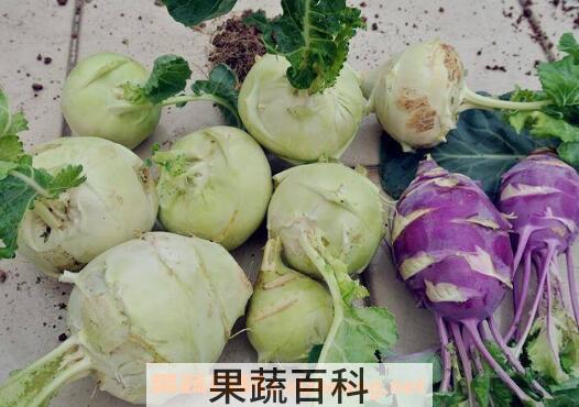 胚兰菜怎么做才好吃 胚兰菜的吃法技巧