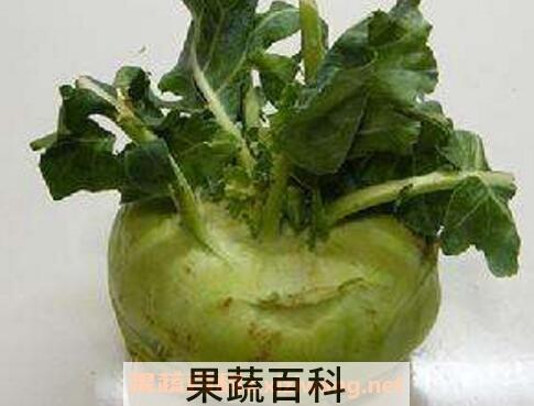 胚兰菜怎么做才好吃 胚兰菜的吃法技巧