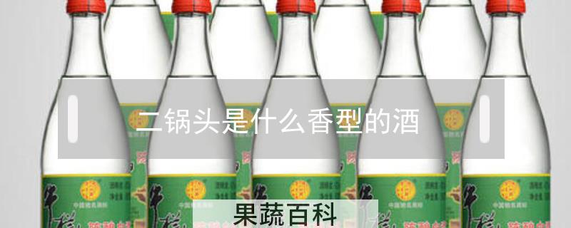 二锅头是什么香型的酒