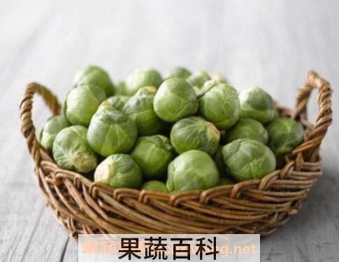 抱子甘蓝是转基因吗 抱子甘蓝的功效