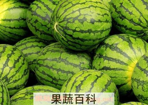 西瓜的功效与作用 西瓜的药用价值