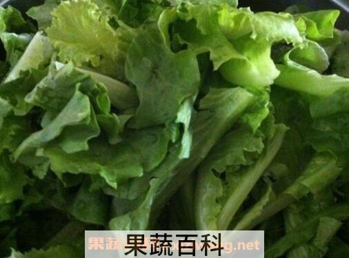 奶油生菜的功效与作用