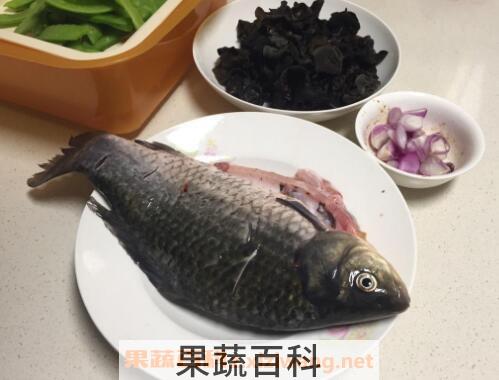 鲗鱼的功效与作用