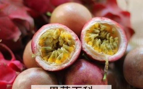 百香果的功效与作用?百香果的功效和禁忌 百香果的功效与作用有哪些?
