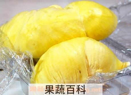 榴莲的功效与作用 榴莲的药用价值