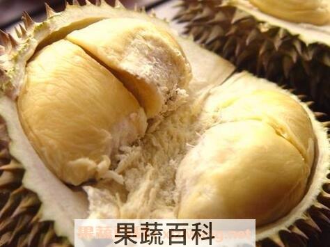 榴莲的功效与作用 榴莲的药用价值