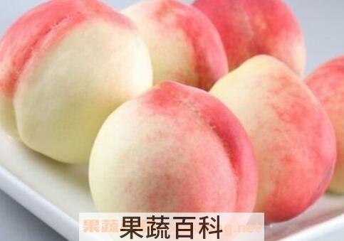 桃子的功效与作用 桃子的药用价值