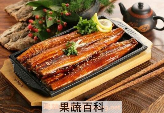 长江鳗鱼功效与作用