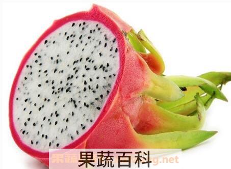 火龙果的功效与作用 火龙果的药用价值