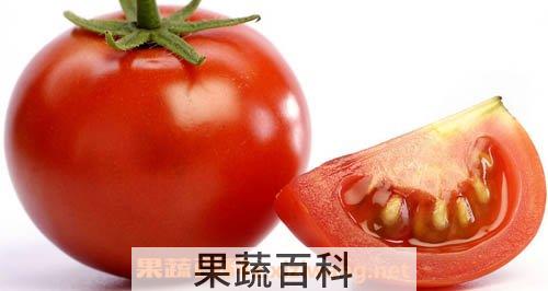 番茄的功效与作用及食用方法 番茄的功效与作用以及营养价值