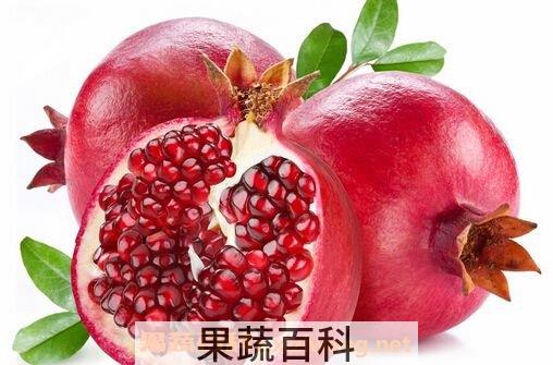 白石榴皮