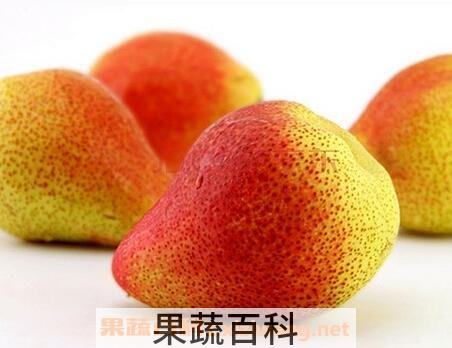 啤梨怎么吃 啤梨的吃法技巧